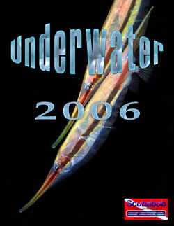 Copertina Calendario Underwater 2006 - Cover Calendar Underwater 2006