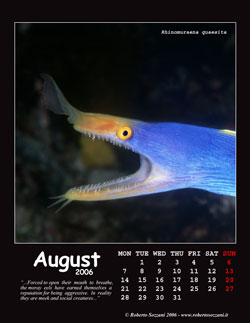 August
