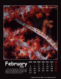 February
