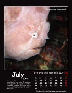 July