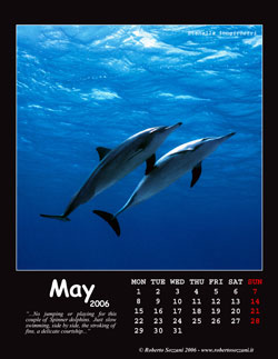 May