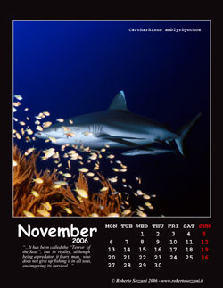 November