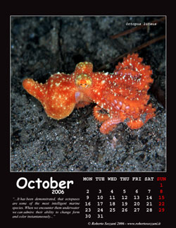 October