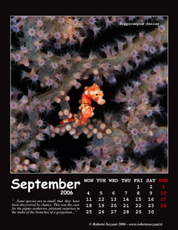 September