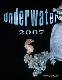 Copertina Calendario Underwater 2007 - Cover Calendar Underwater 2007