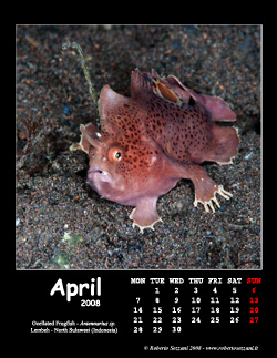 April