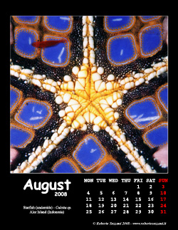 August