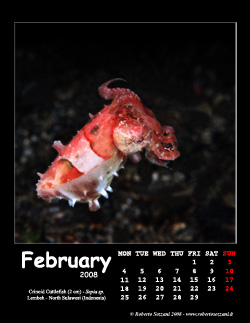 February