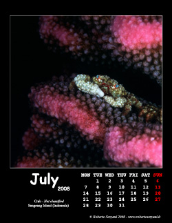 July