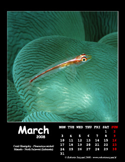 March