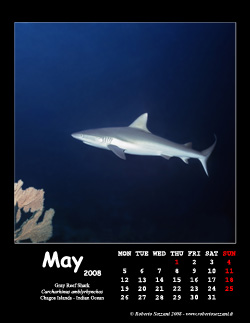 May