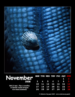 November
