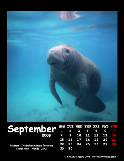 September