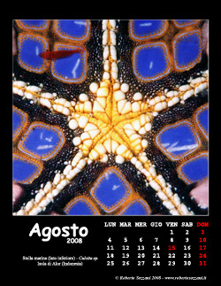 Agosto
