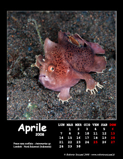 Aprile