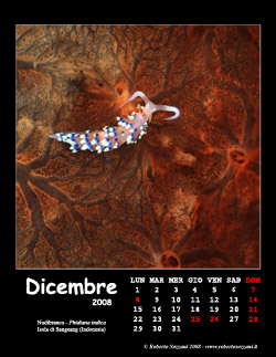 Dicembre
