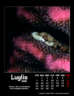 Luglio