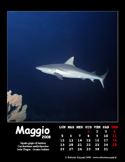 Maggio