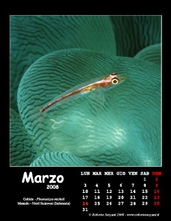 Marzo