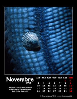 Novembre
