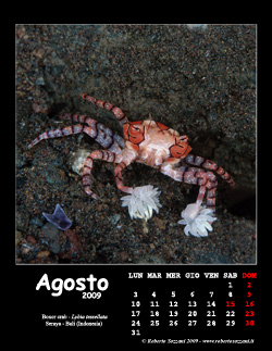 Agosto