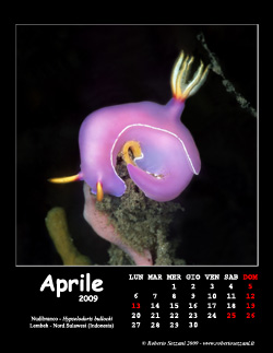 Aprile