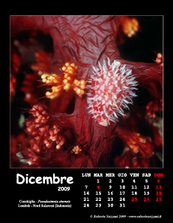 Dicembre