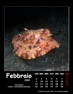 Febbraio