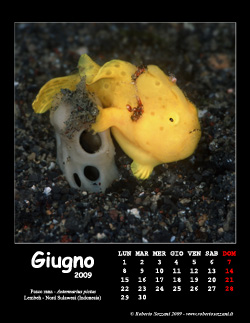 Giugno
