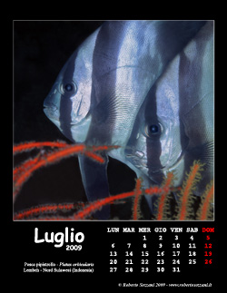 Luglio