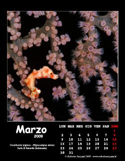 Marzo