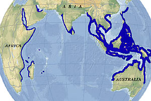 Mappa distribuzione dugongo