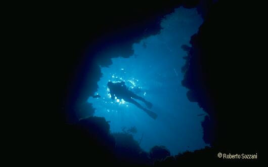 Tunnel in the coral wall