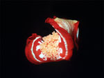 Ballerina spagnola - Spanish dancer Ballerina spagnola - Spanish dancer