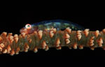 Whip coral goby