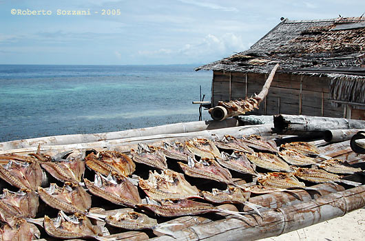 Walea island - Pesce al sole ad essicare - Fish drying under the sun