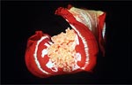 Spanish Dancer