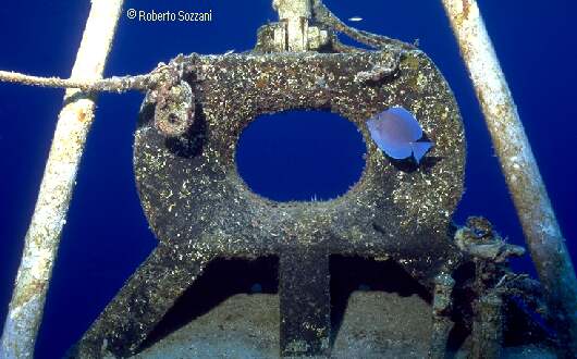 MV Capt. Keith Tibbetts's Wreck