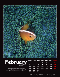 February