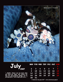 July