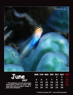 June