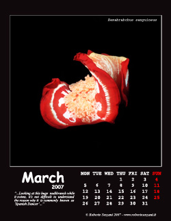 March