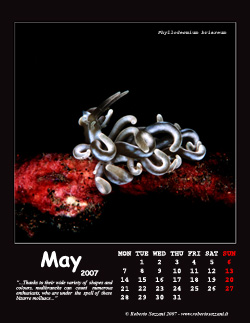 May