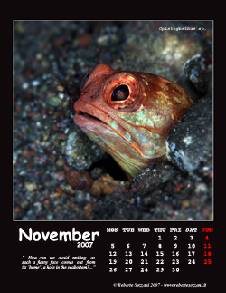 November