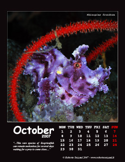 October