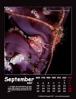 September