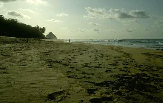Fernando de Noronha