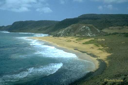 Fernando de Noronha