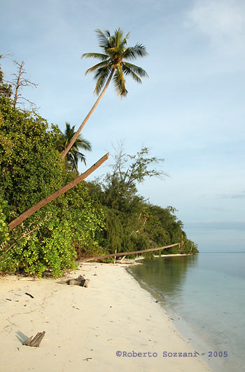 Walea Island - Una spiaggia - A beach