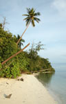 A beach